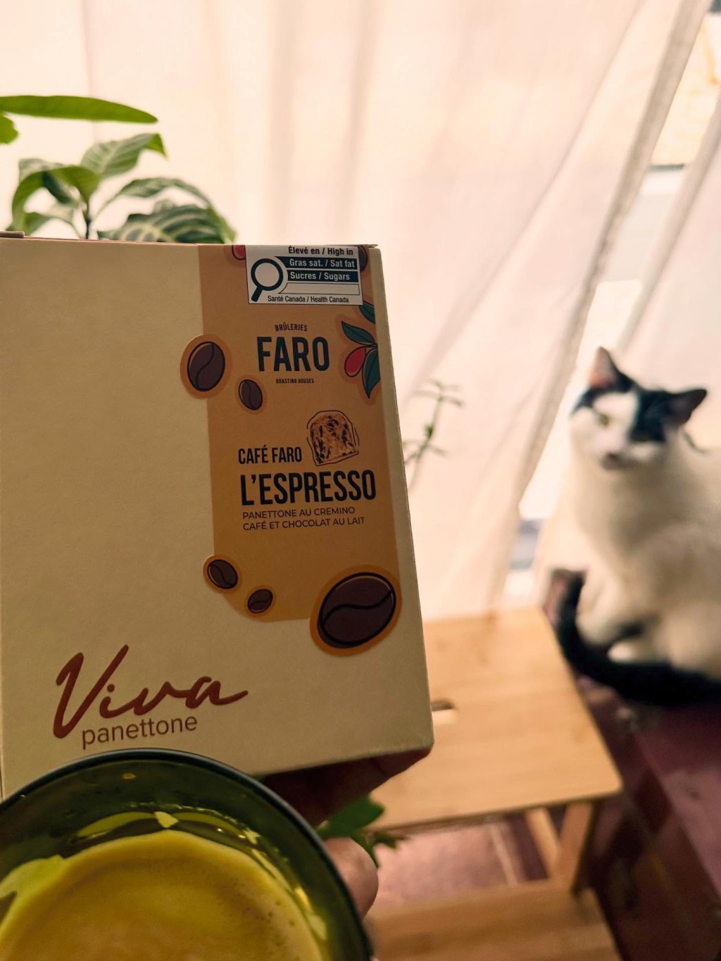 Viva × Faro : Quand le panettone rencontre l’espresso.